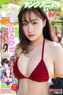 天国宝藏
