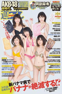 追捕电视剧