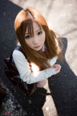 内阁大学士